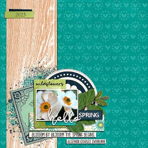 Hello Spring - Windflower