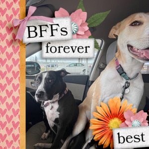BFFs Forever