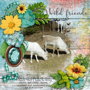 Wild-friends1