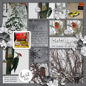 Winter Day, Looking for Spring