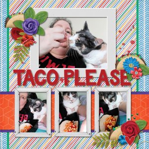 Taco Please