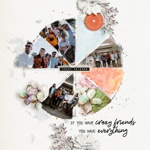 crazy friends