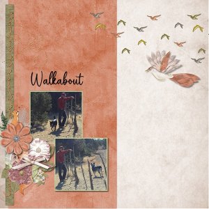 Walkabout