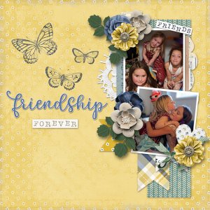 friendship