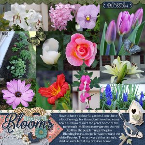 Heirloom Garden