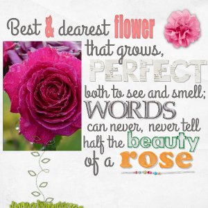 Rose