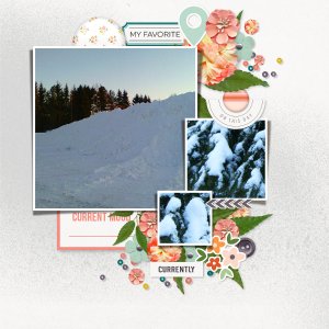 Fabulous winter