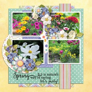 Spring flowers