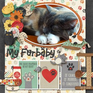 Molly My Furbaby