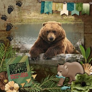 Bears Will Kill You