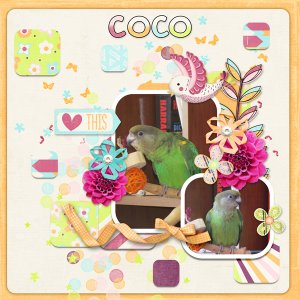 Feathered friend