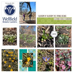 Wellfield Botanic Gardens 2-26-23 (Page 1)