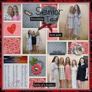 Senior Tea