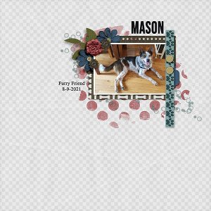 Mason 2