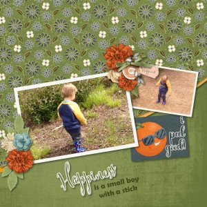 Happiness is a small boy wih a stick