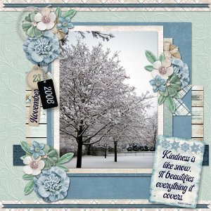 Beautiful Snow