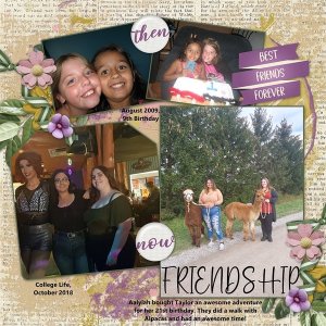 Friendship