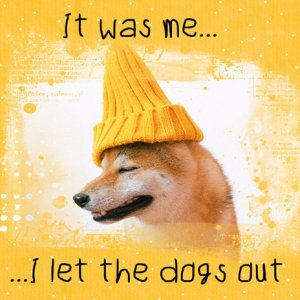 Confession