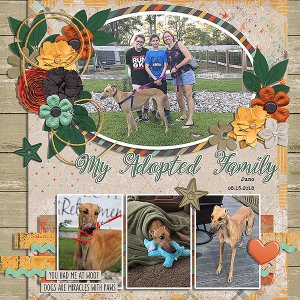 adopted family