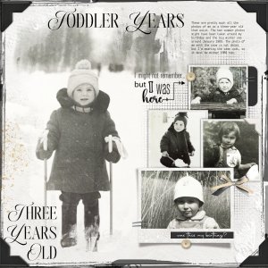 Toddler Years