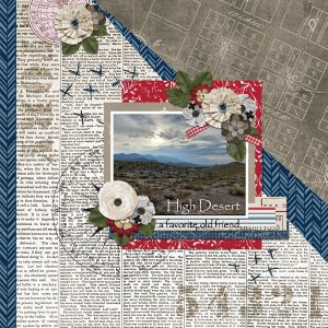03-Daily-Download6