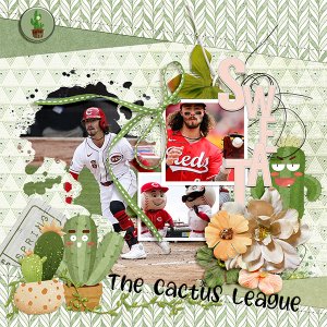 The Cactus League