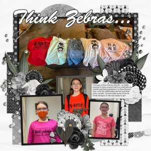 Think Zebras