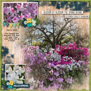Spring