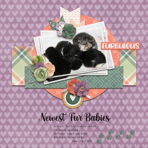 March 2023 Template Bundle - Cattitude