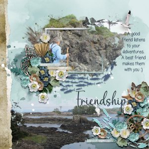 Friendship
