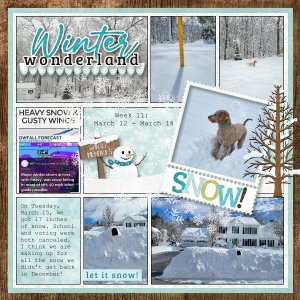Week 11: Winter Wonderland