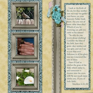 Remember-the-Birds-and-Lilies-web