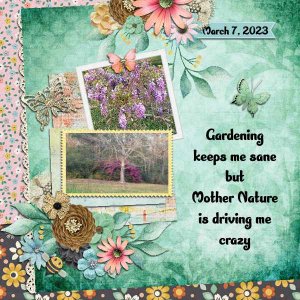 Gardening 3-23 Hobby