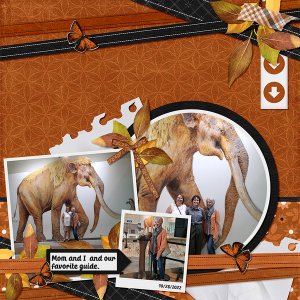 Paint-Chip-Rich-Rust-Ribbons-and-Papers-vol-23-1-template-2022