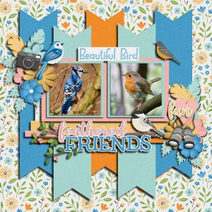 Feathered Friends