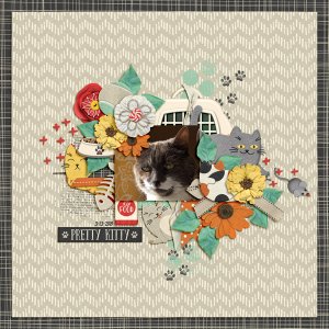 Pretty Paws - Pretty Kitty Molly-Pop