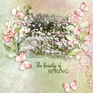 The beauty of Spring
