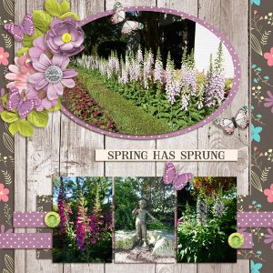 Spring has sprung