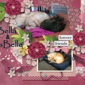 Bella + MaBelle