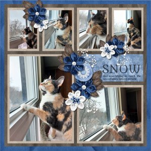 Snow Catcher