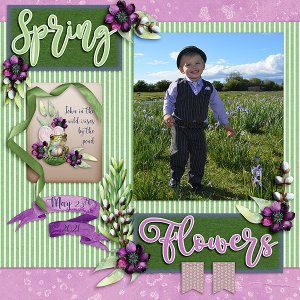 Spring Flowers