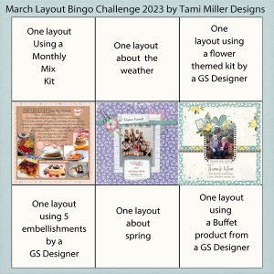 3/2023 Layout BINGO card