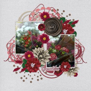 beautiful_spring_flowers