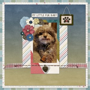 3/2023 My Memories - My Little Fur Baby