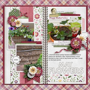 May-flowers