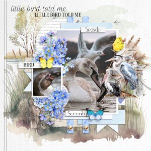 Little Bird Tol Me