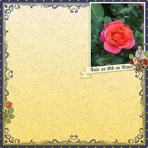 Disneyland Rose