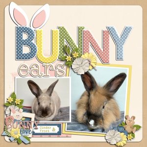 Bunny Ears