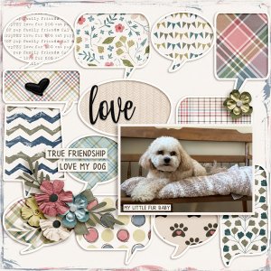 FurBaby3