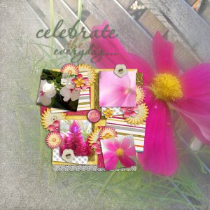 Celebrate Life Everyday